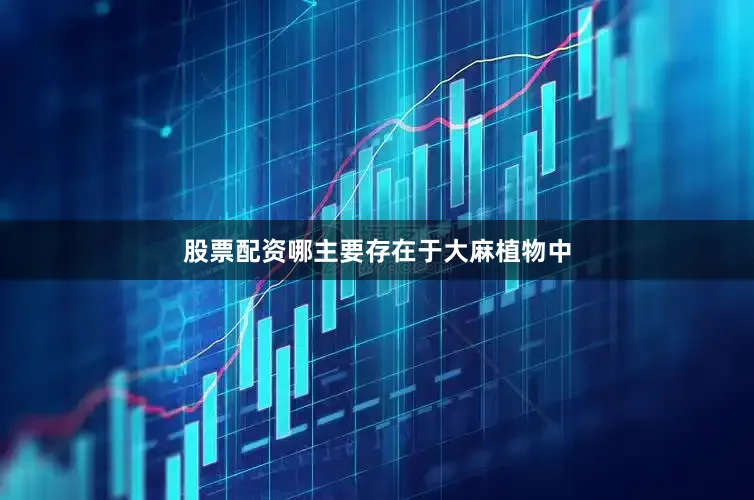 股票配资哪主要存在于大麻植物中