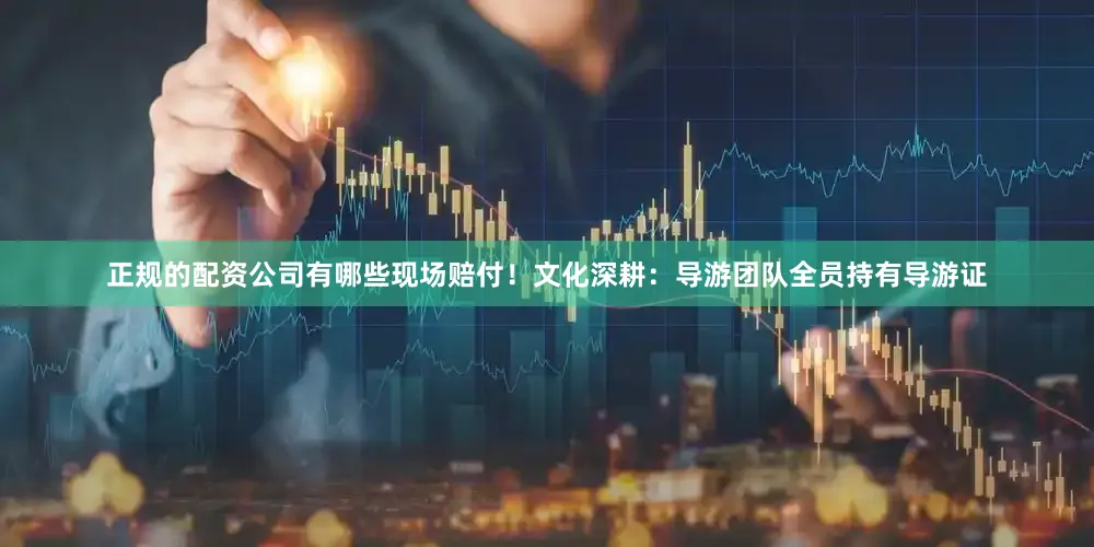 正规的配资公司有哪些现场赔付！文化深耕：导游团队全员持有导游证