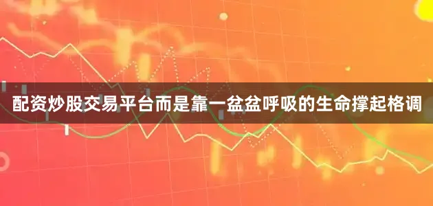 配资炒股交易平台而是靠一盆盆呼吸的生命撑起格调
